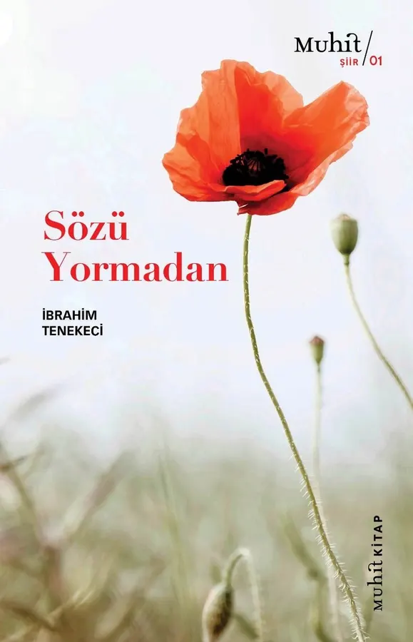 Ağır Misafir — kitap kapağı