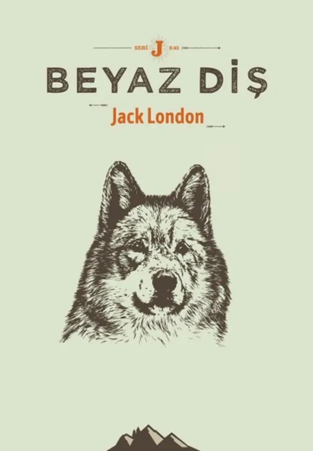 Bir Dilim Biftek — kitap kapağı