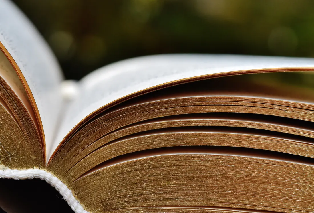Kitap sayfaları yakın çekim