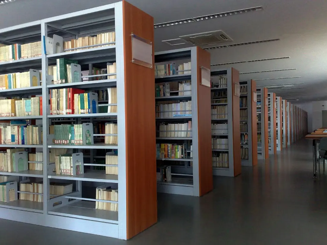 Kütüphane kitap rafları