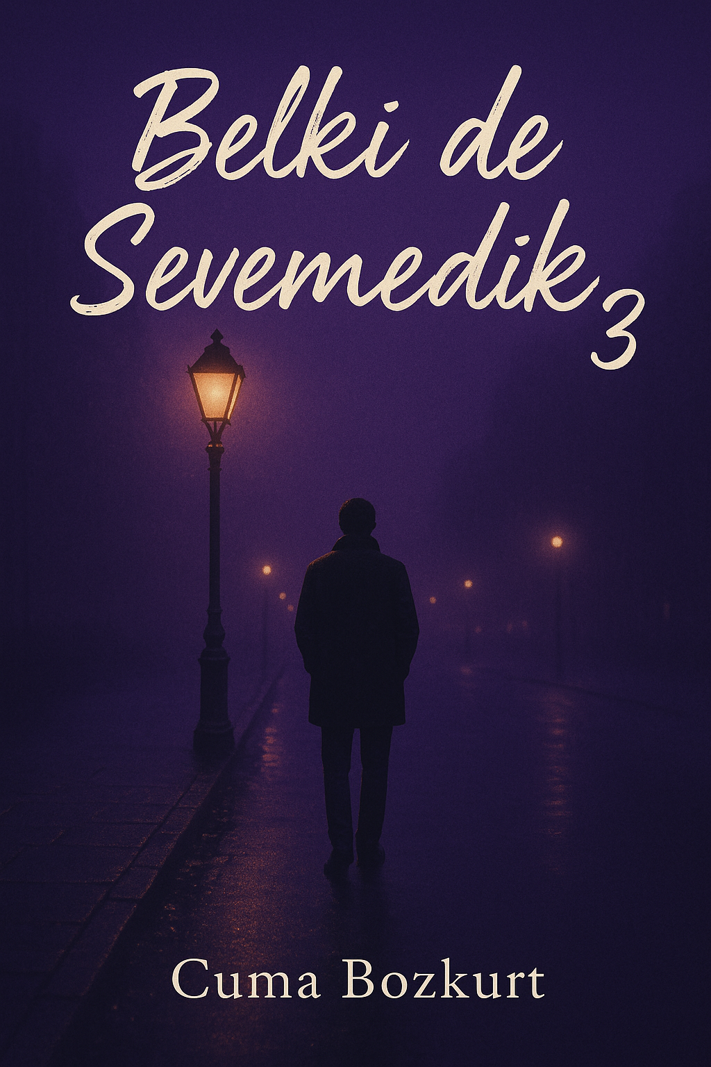 Belki de Sevemedik -3